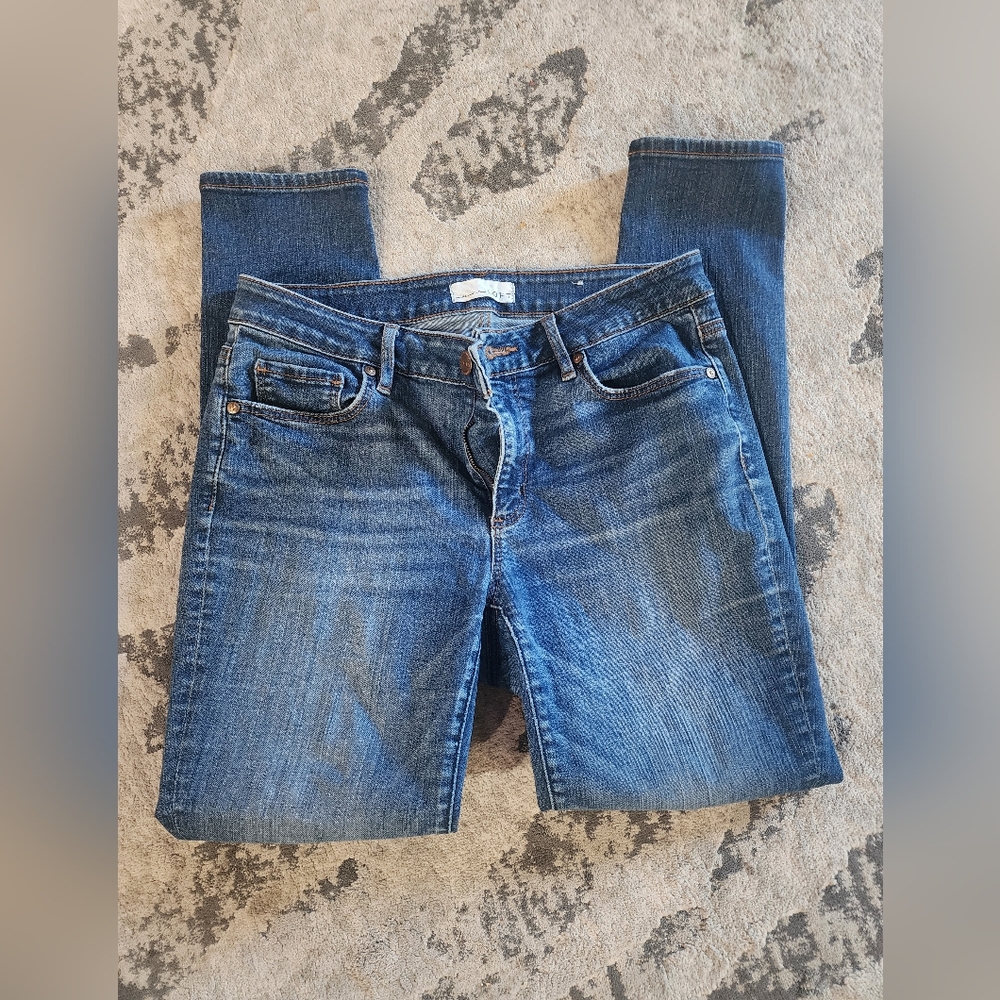 Ann Taylor Blue Denim Jeans